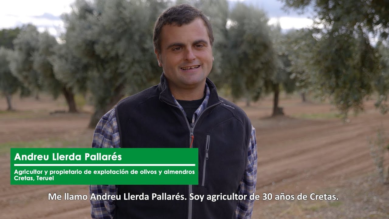 Unimer y Andreu Llerda, propietario de explotación de olivos y almendros Cretas, Teruel.