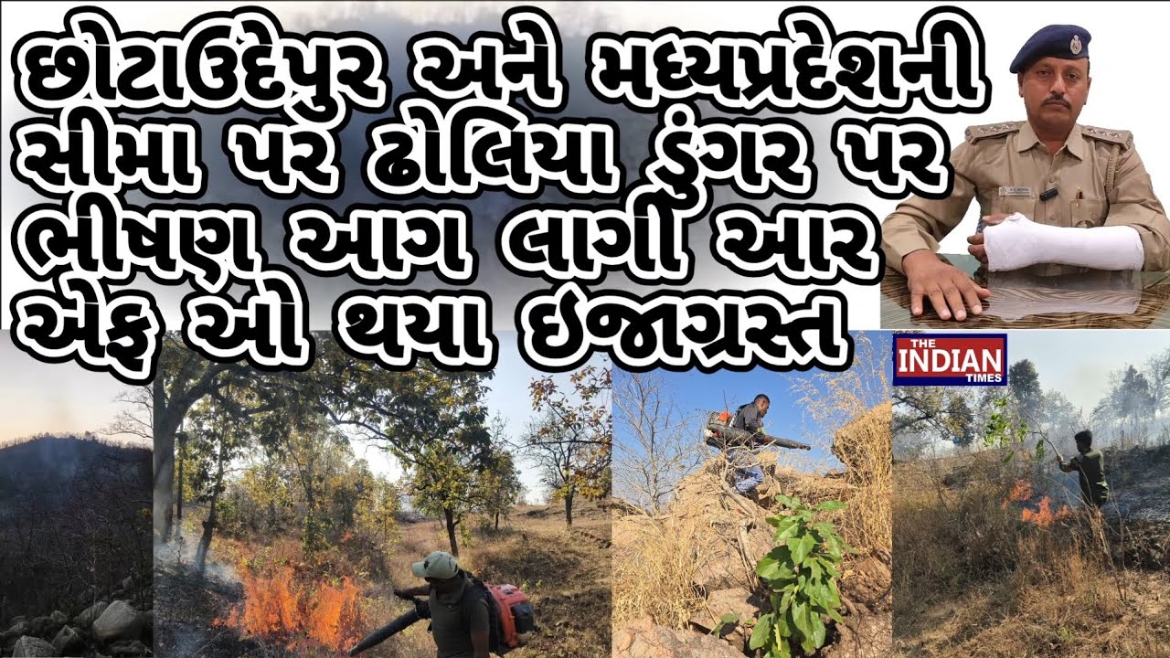 છોટાઉદેપુર અને મધ્યપ્રદેશની સીમા પર ઢોલિયા ડુંગર પર ભીષણ આગ લાગી આર એફ ઓ થયા ઇજાગ્રસ્ત 