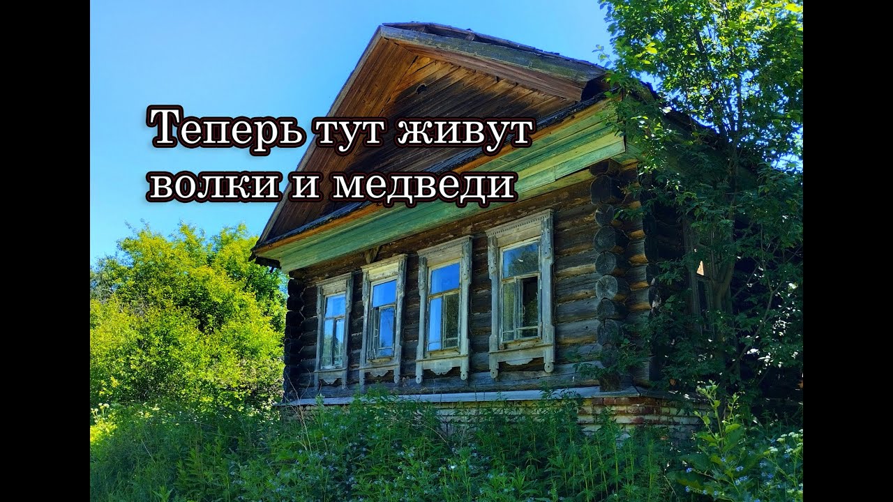 Тут жили сотни людей, теперь хозяева здесь дикие животные! Заброшенная деревня КУШНУР, Кировская обл