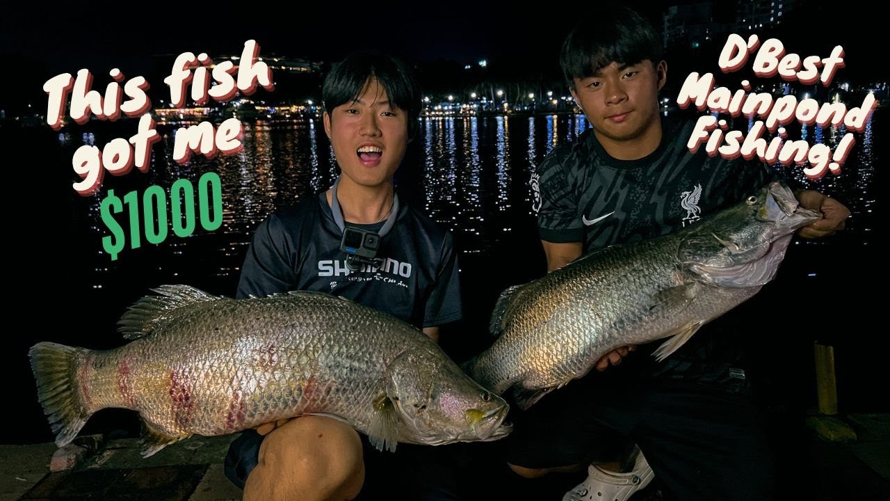This Fish got me a $1000?!! | D'Best Main Pond Fishing | Singapore Fishing