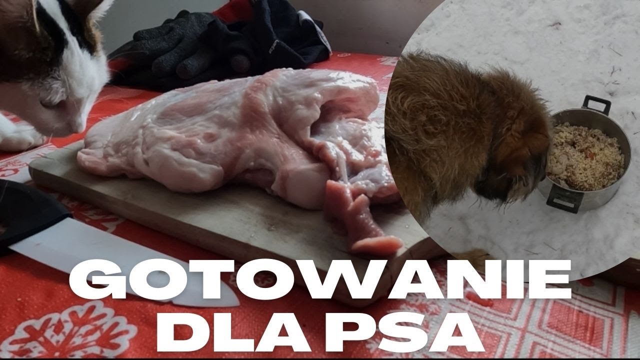 Makaron z łopatką dla Edzia