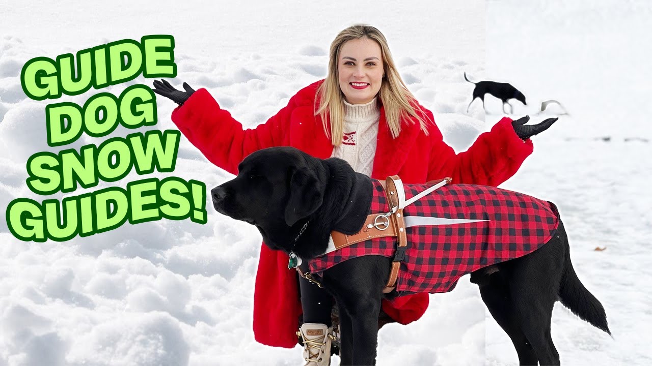 Taking My New Guide Dog to the SNOW for the First Time!