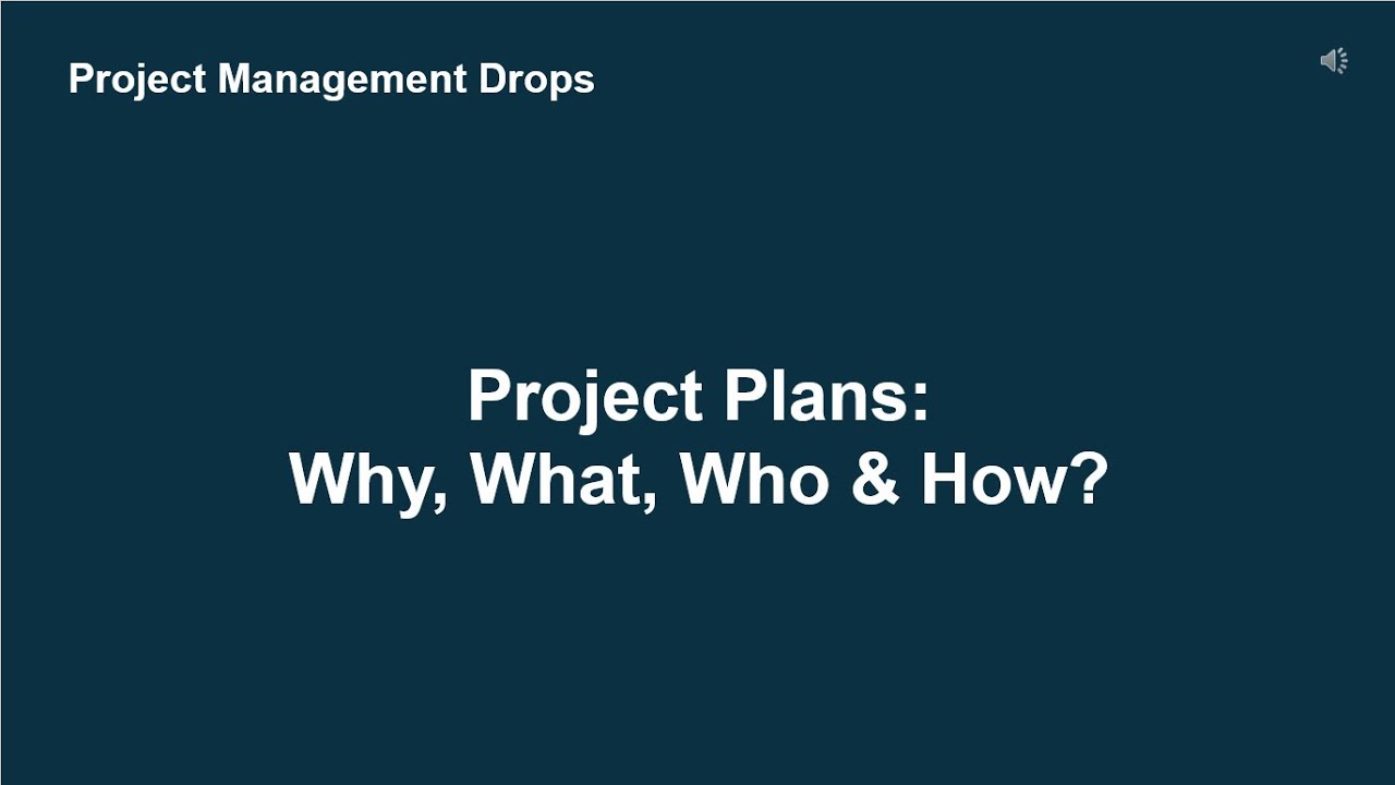 Project Plans: Why, What, Who & How?