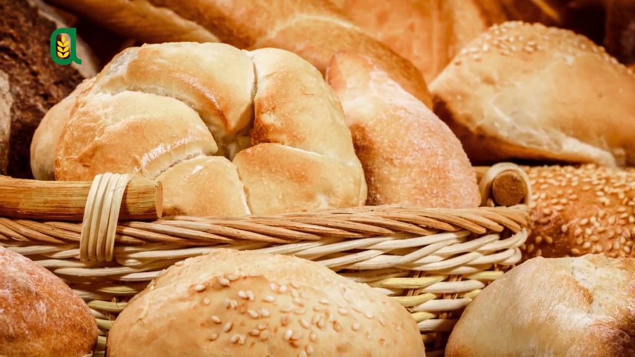 Tutti in campo - La coltivazione del grano