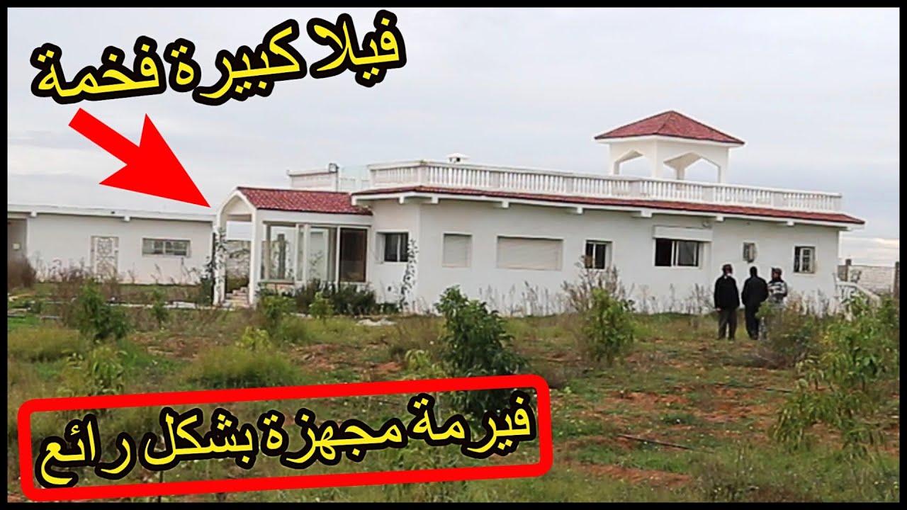 ✨فيرمة كبيرة بفيلا فاخرة ورائعة مجهزة بالكامل على الطريق المعبدة ✨ تيفلت