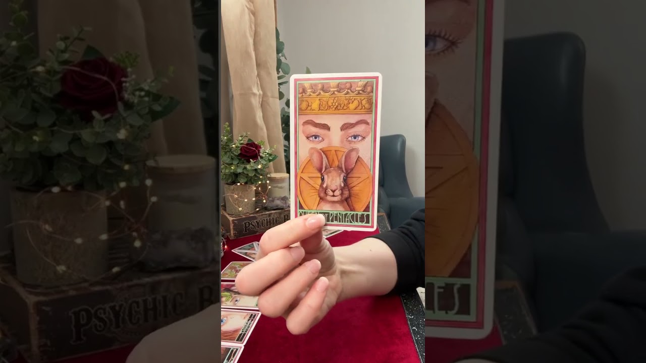 LEO ♌️ A Past, Present & Future Reading 