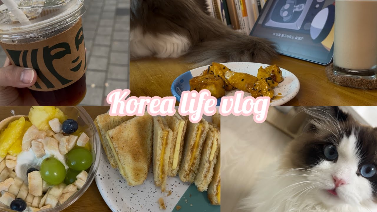平日ルーティン in Korea｜猫と過ごす韓国生活＆おうちカフェ時間