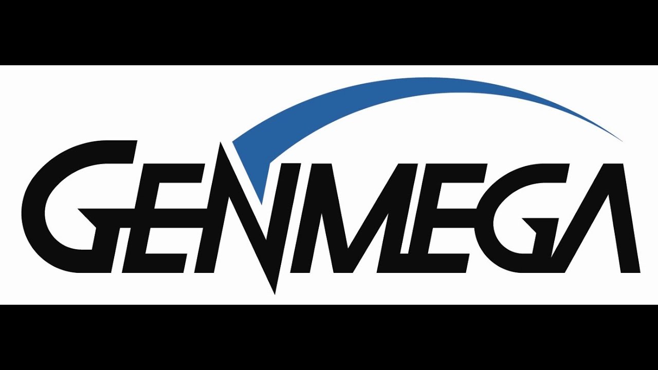 Genmega G1900 EMV Kit Install