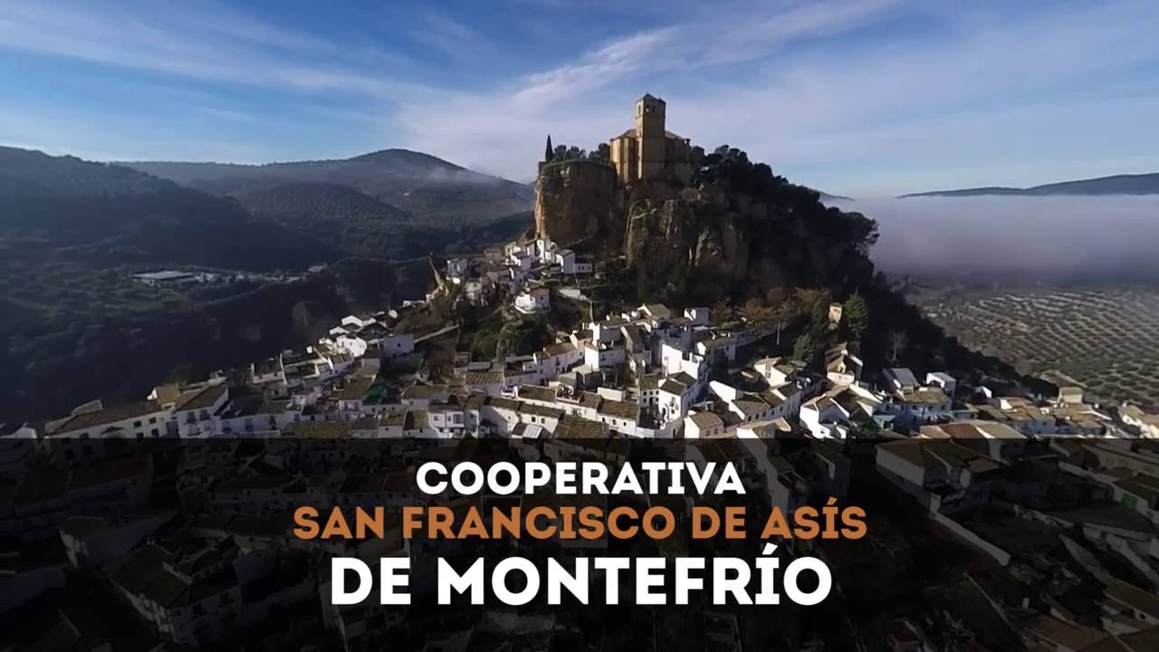 SAFI, S.L. INSTALACIONES DE COOP. SAN FRANCISCO DE ASIS, MONTEFRIO
