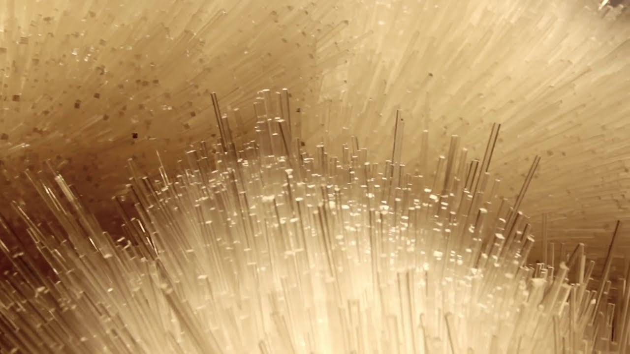Tara Donovan | Exhibition Trailer | Louisiana Museum of Modern Art