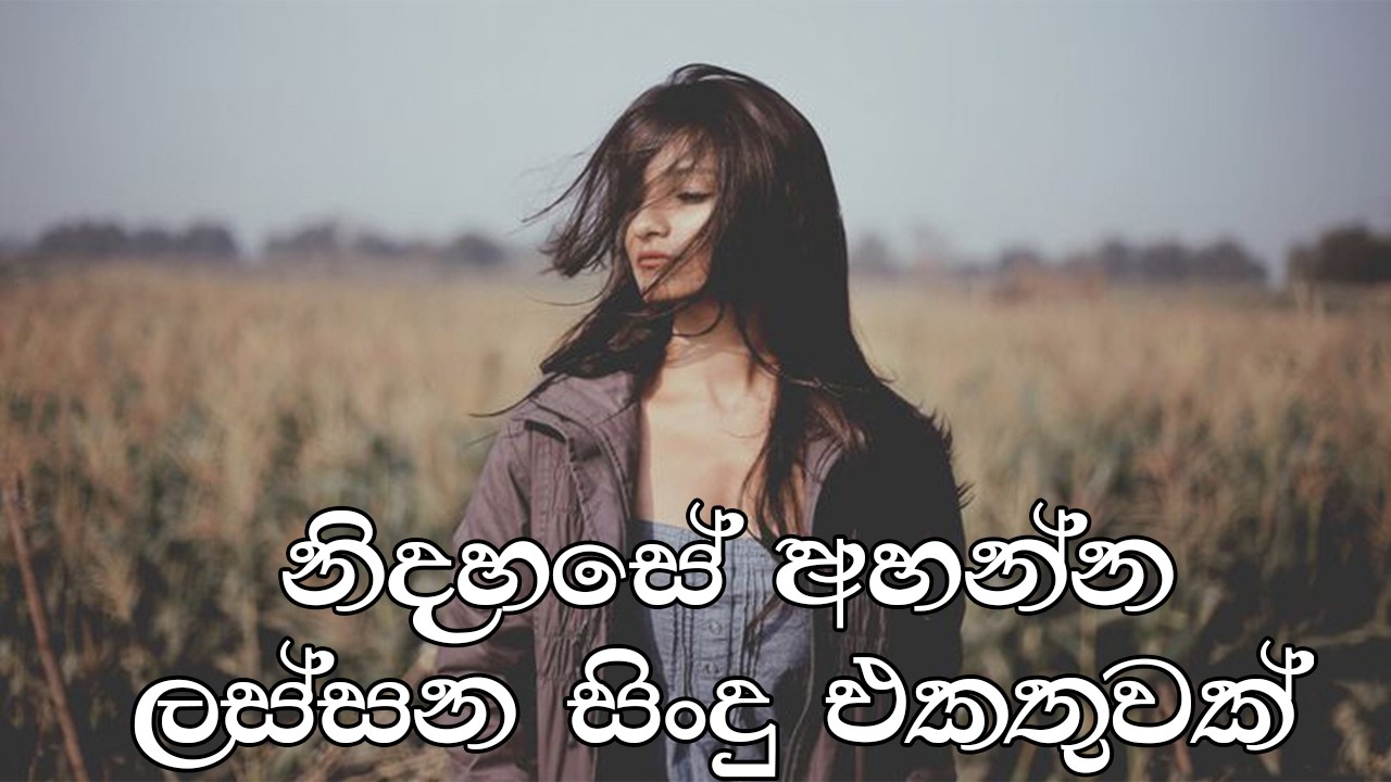 භාවනාවක් වගේ සිංදු 🥺❤️🥀 රෑට තනියම අහන්න Manoparakata Sindu Best Sinhala Songs Collection
