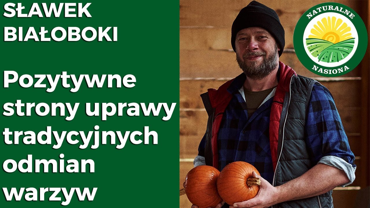 Pozytywne strony uprawy tradycyjnych odmian warzyw. Sławek Białoboki. KONFERENCJA