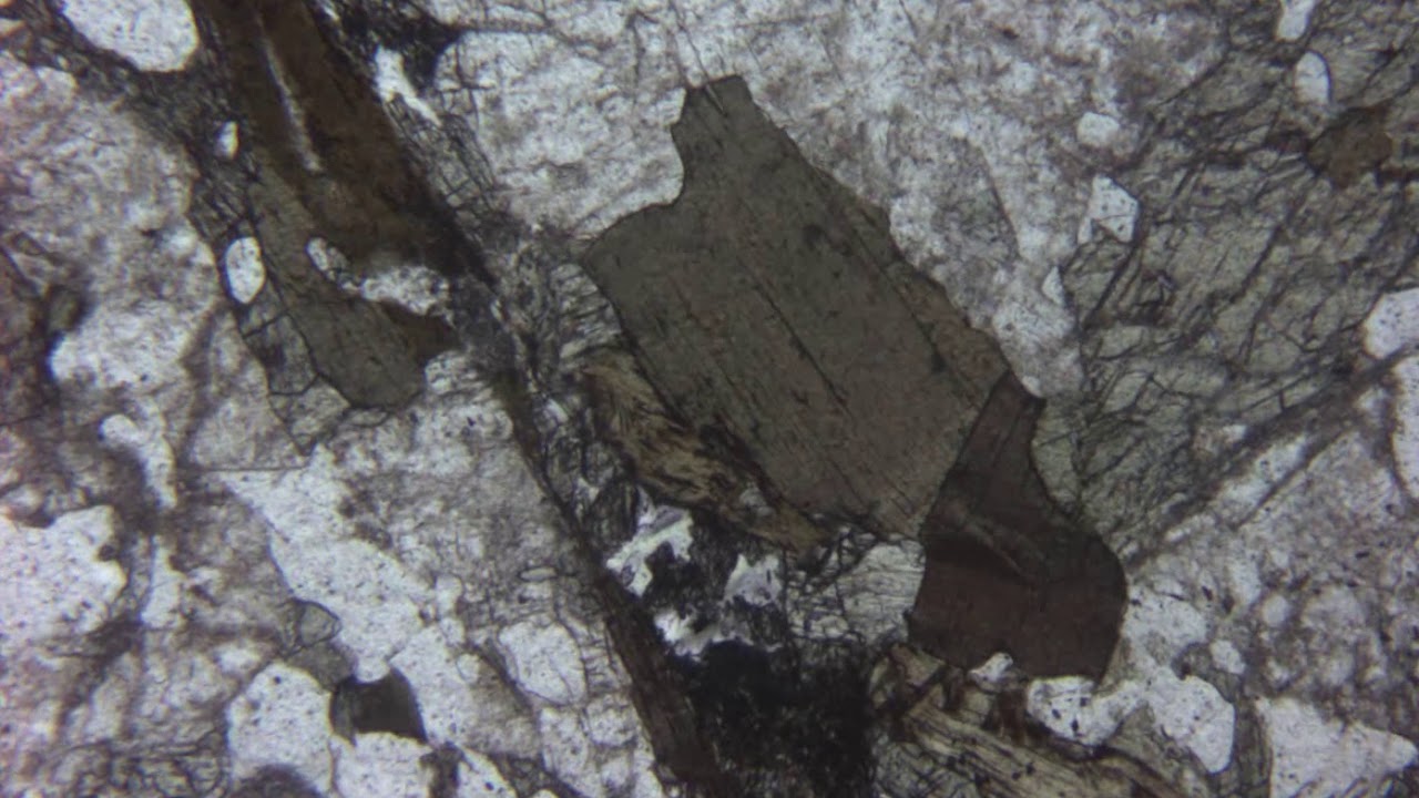 Mica noir (biotite) au microscope polarisant (LPNA)