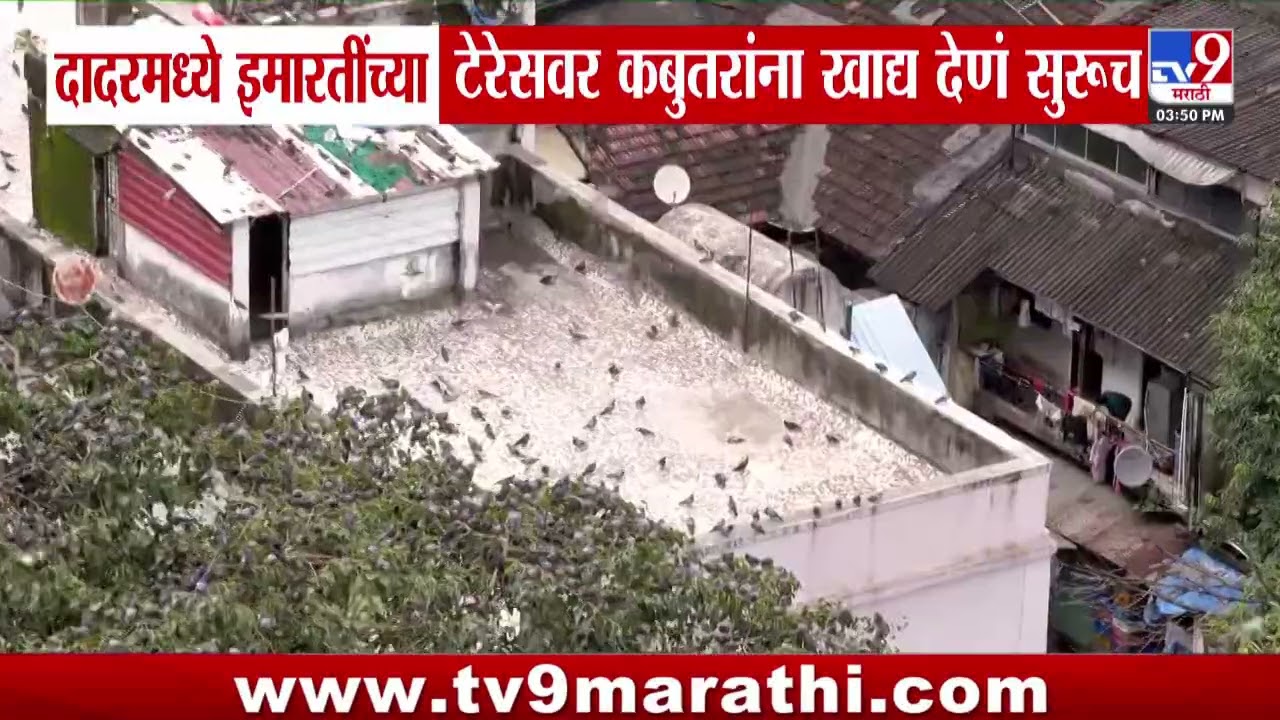 Dadar  Kabutar Khana | दादरमध्ये इमारतींच्या टेरेसवर कबुतरांना खाद्य देणं सुरूच