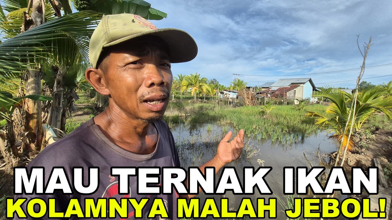NIAT HATI BETERNAK IKAN, TANGGUL KOLAM MALAH JEBOL! CERITA PERJUANGAN PETANI TRANSMIGRASI KALIMANTAN
