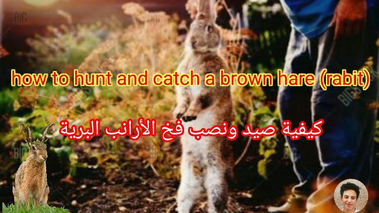 رحلة صيد و إستكشاف /صيد الأرنب  البري بالفخ/طريقة مفصلة لنصب شرك الأرانب