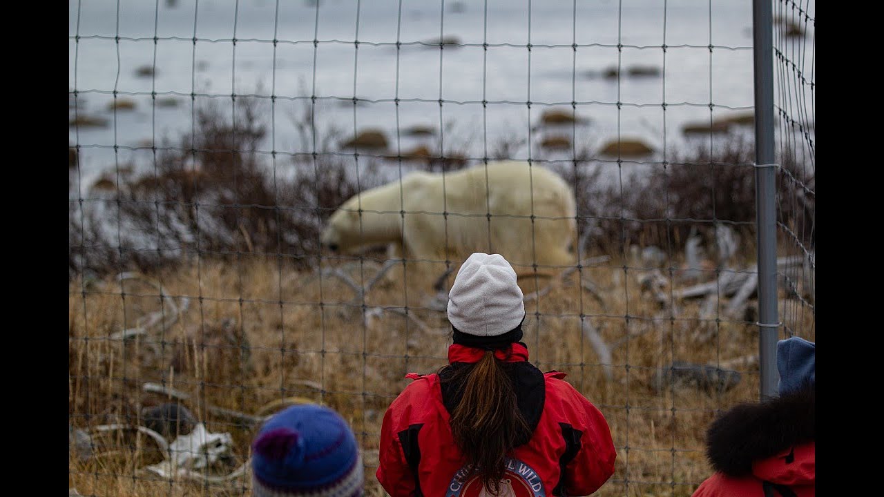 Slideshow from 4 days at Seal River Heritage Lodge