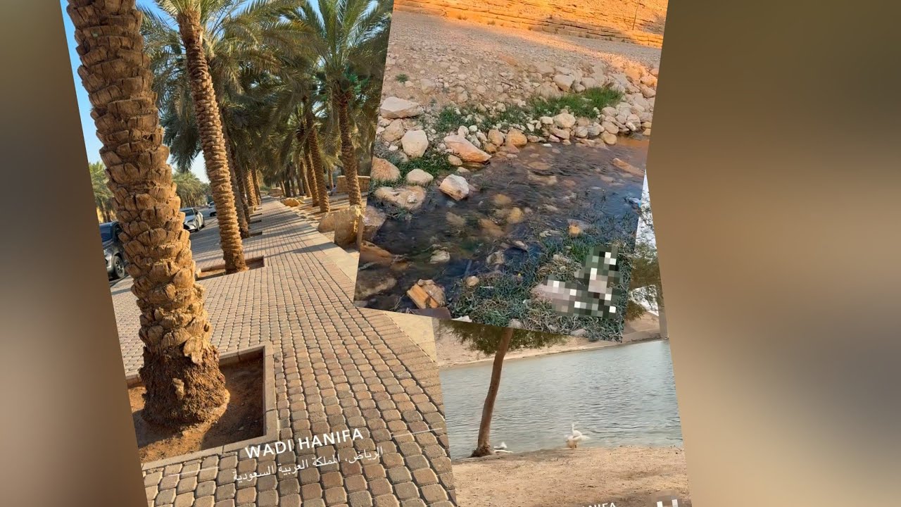 WADI HANIFAH Moments in Riyad🇸🇦💚#trending #viral #viralvideo #explore #vlog 