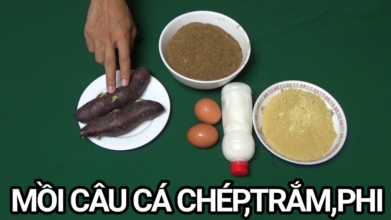 Bài mồi câu cá chép siêu nhạy câu đơn câu đài lăng xê l CẦN THỦ ĐẤT CẢNG
