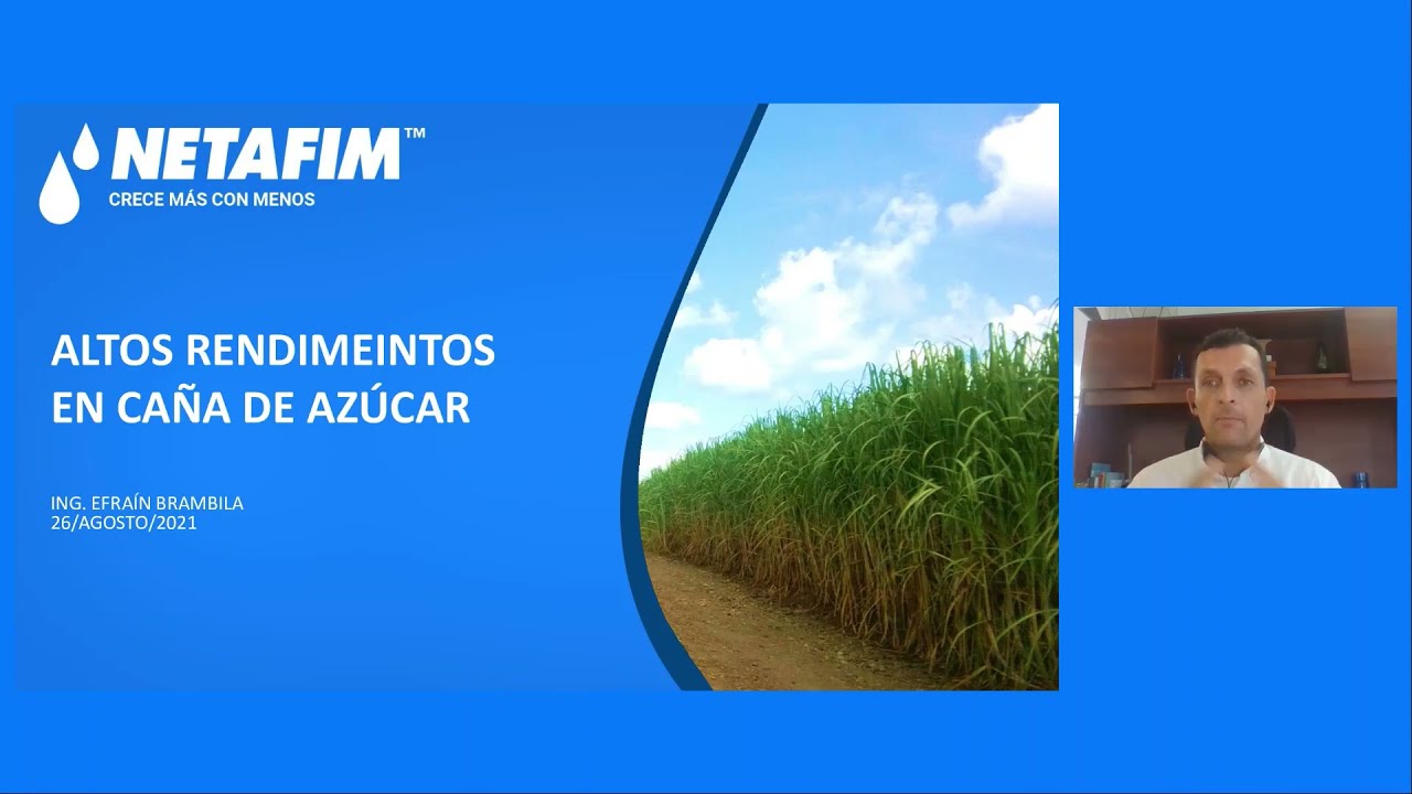 Curso en Linea - Caña de azúcar Módulo 2  Seguimiento de indicadores para altos rendimientos