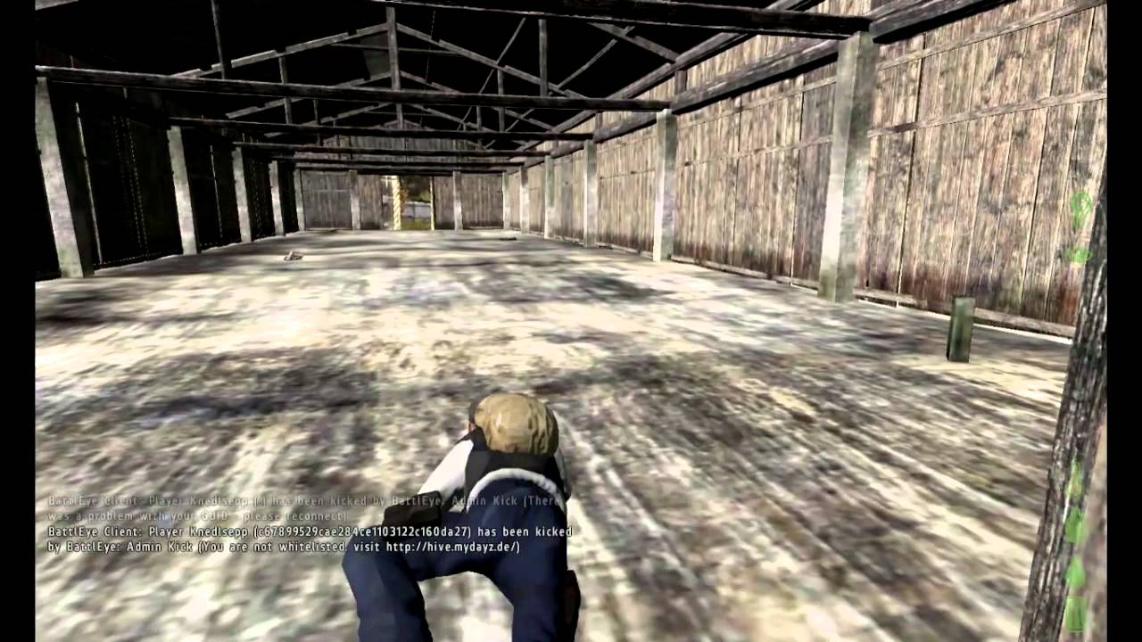 DayZ #0 Пилотный выпуск