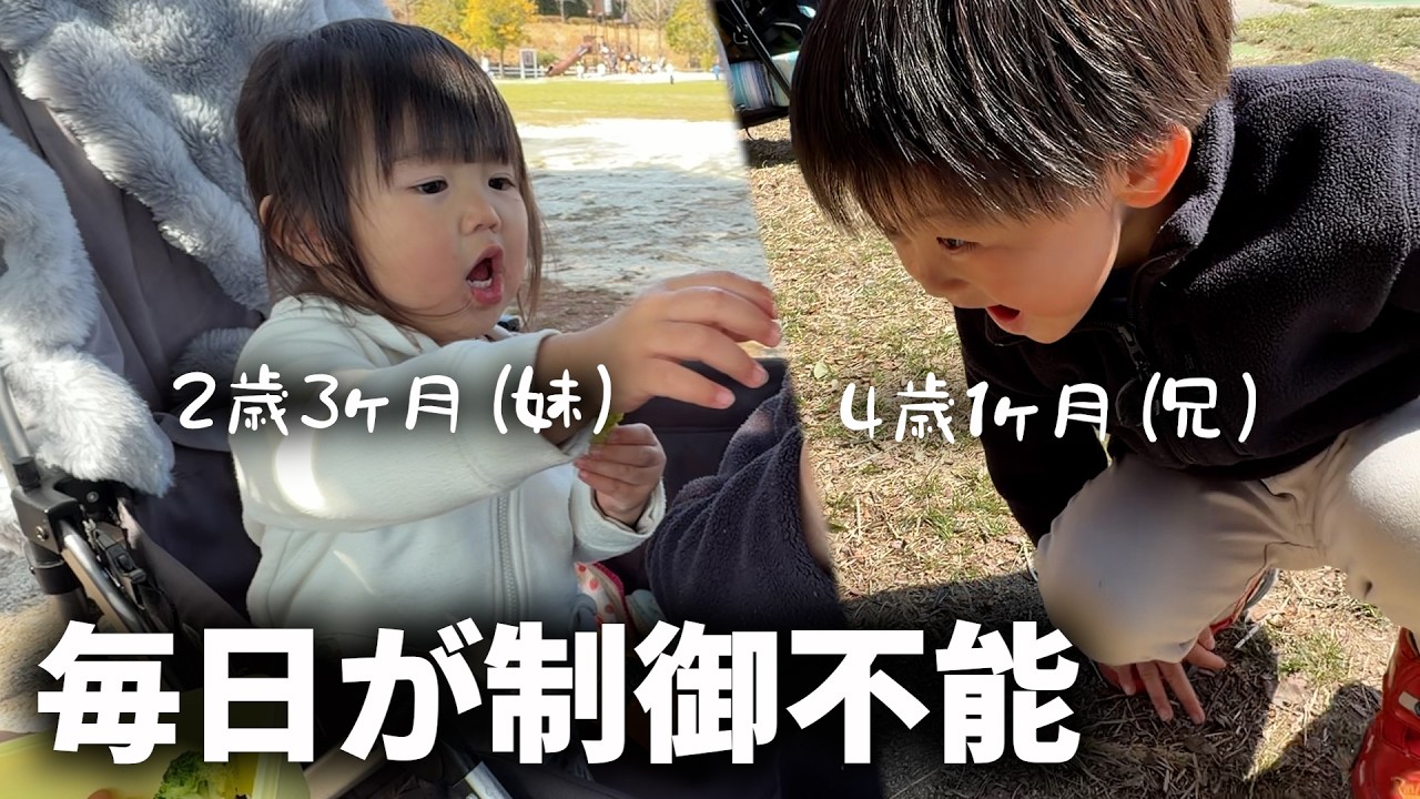 4歳息子と2歳娘の行動が制御不能すぎる...