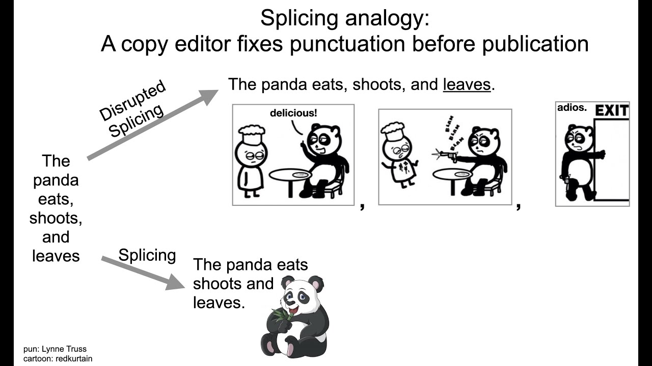 Characterizing Local Splicing Variations from Heterogeneous RNA-Seq Datasets