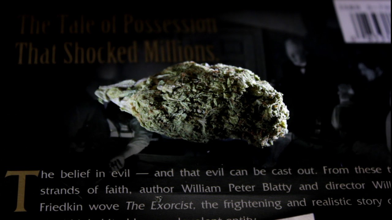 White OG Strain Review - THC - That Horror Cannabiz