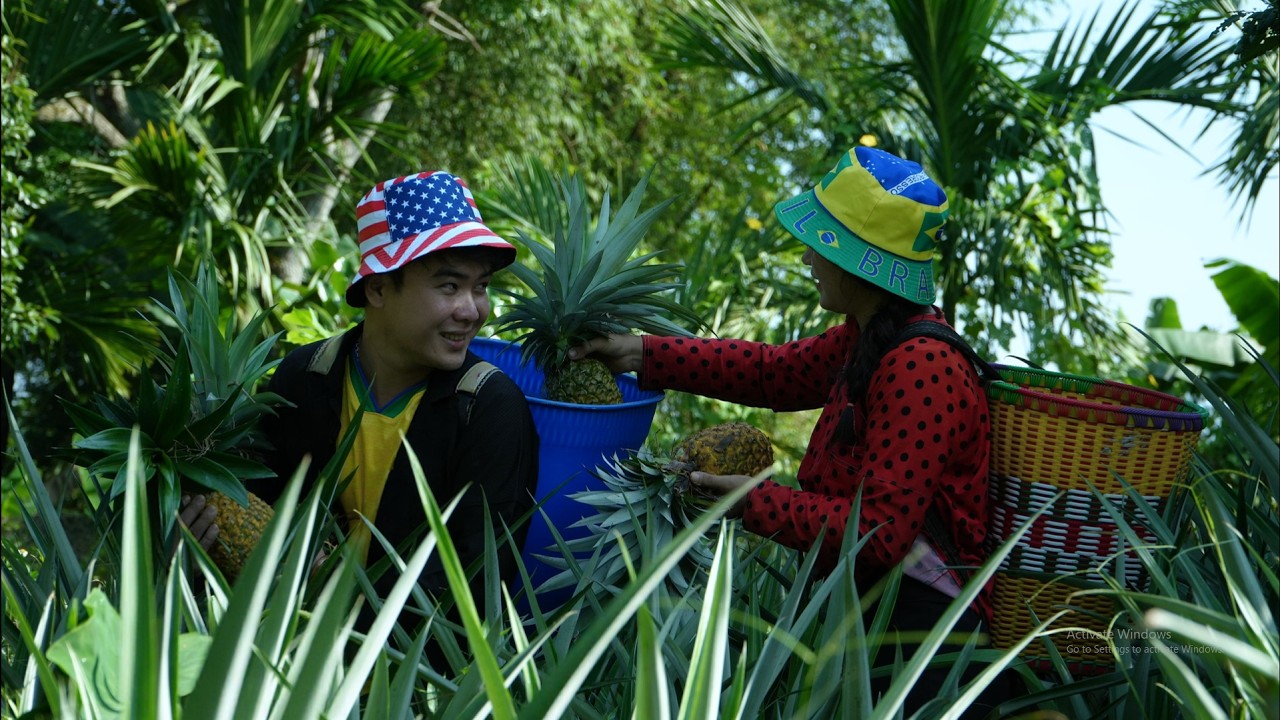 Harvest Diary: Following May and Phu to the Vast Pineapple Fields