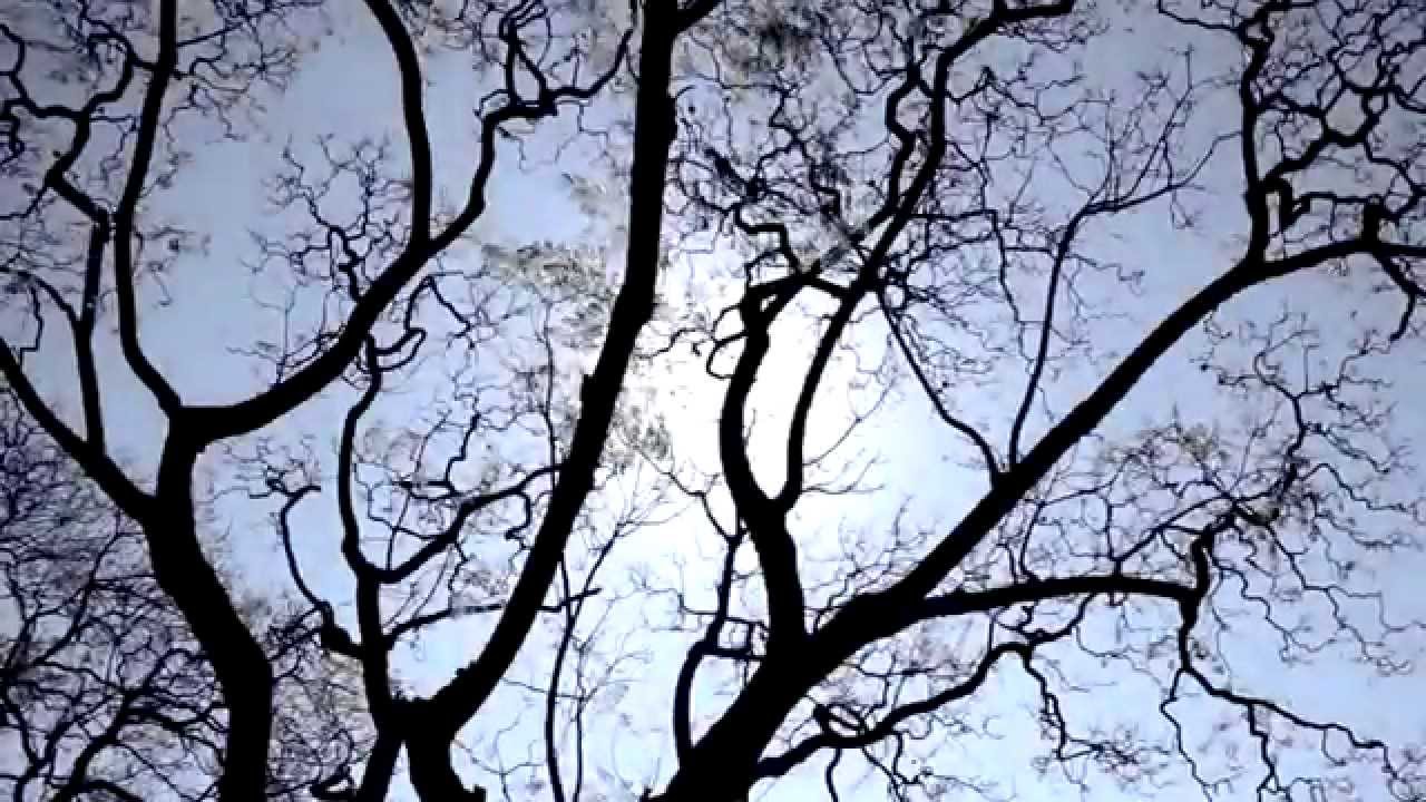 Jane Rutter - Vivaldi: The Four Seasons, 