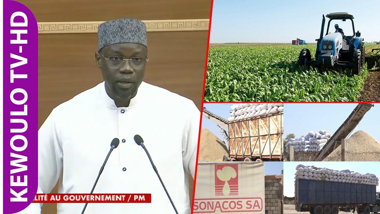Campagne agricole, marche sous régionale: Ousmane Sonko annonce une visite de la Sonacos á Velingara
