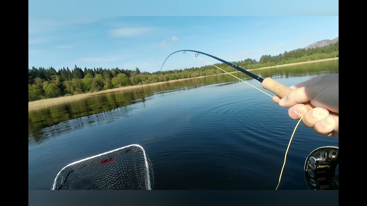 lake of menteith,  may 2021