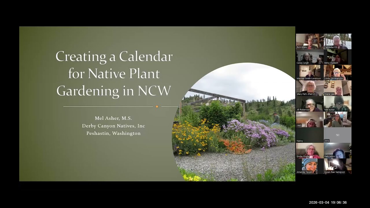 Mel Asher- Monthly Activities for a Vibrant Native Plant Landscape