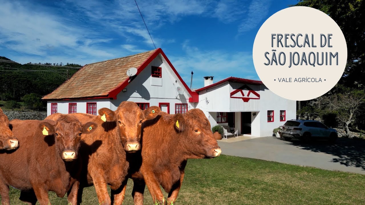 Conheça os segredos do frescal, a carne mais famosa da serra catarinense
