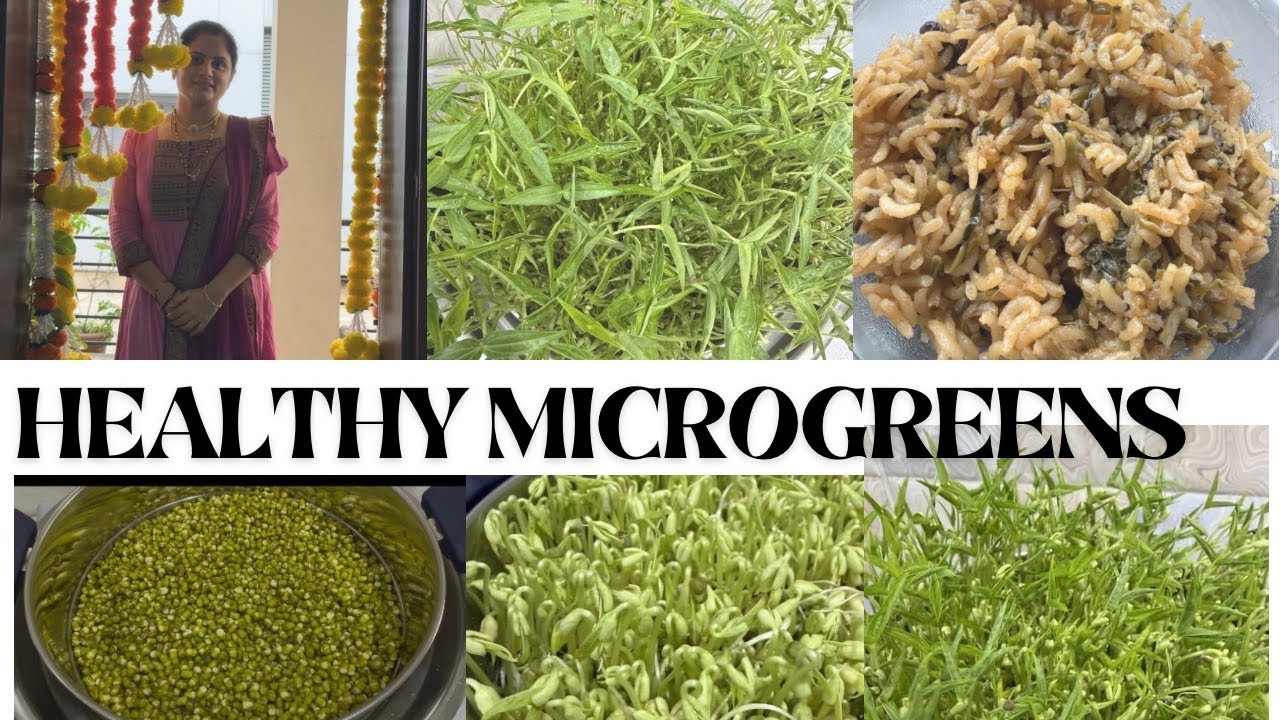 HOW TO GROW MICRO GREEN WITHOUT SOIL | GREEN GRAM DAL MICRO GREEN | MICRO GREEN HEALTHY RECIPE