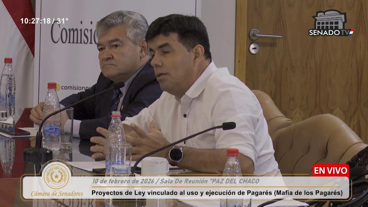 COMISIÓN PERMANENTE DEL CONGRESO NACIONAL - 10/02/2026