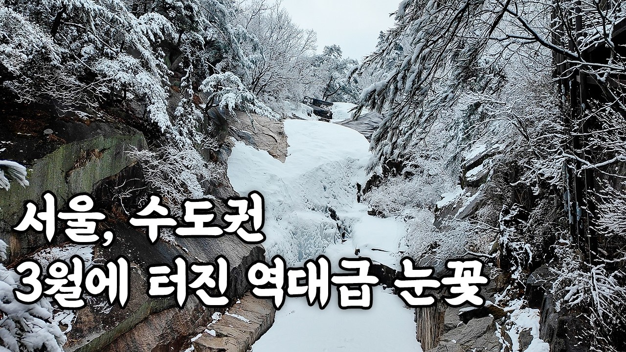 3월의 기적! 봄 속에 숨겨진 겨울왕국 ❄️ 인생 설경과 함께 공유하는 등산의 기술🏔️ 4K UHD