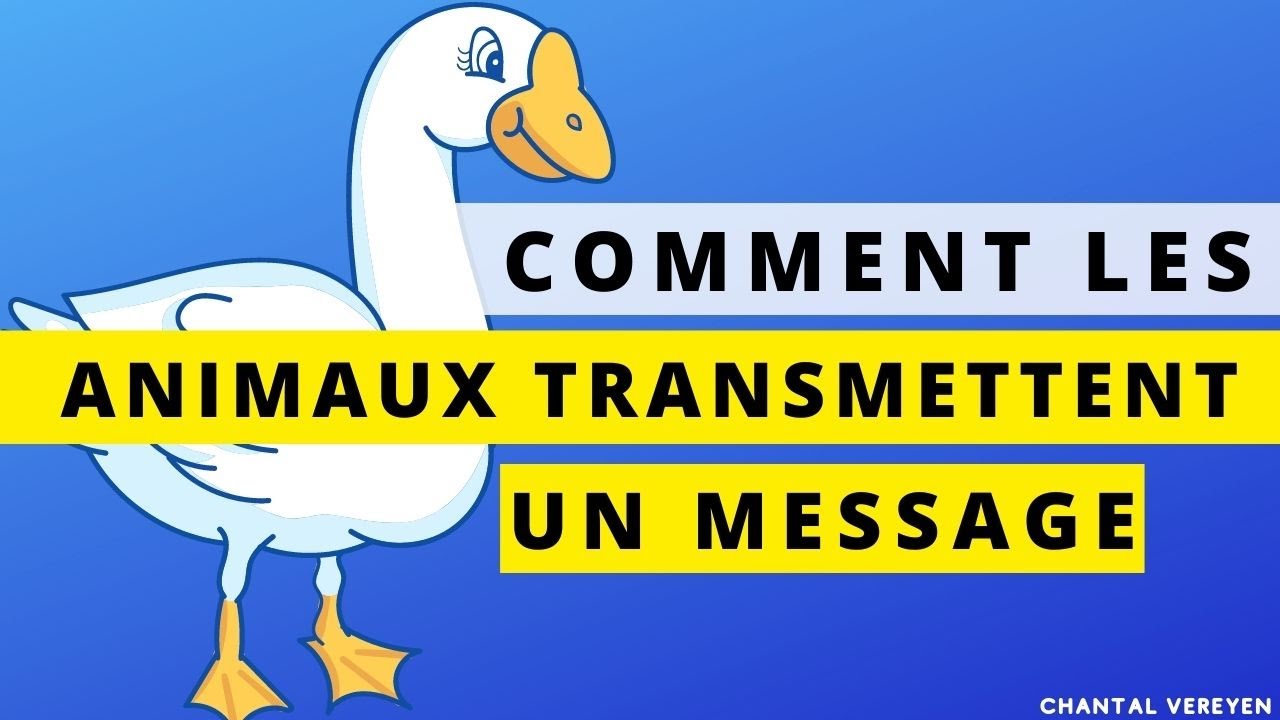 Comment les animaux transmettent un message ?