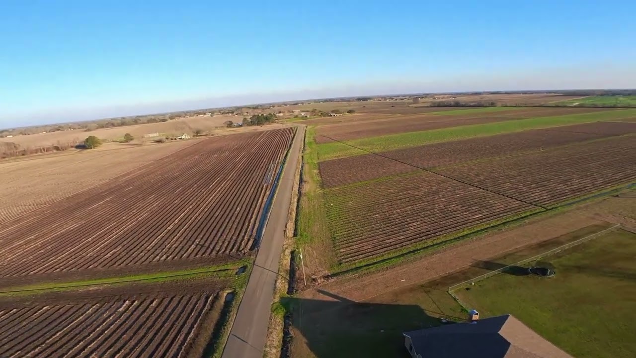 2.16.26 Lil XC over towards Loreauville, LA