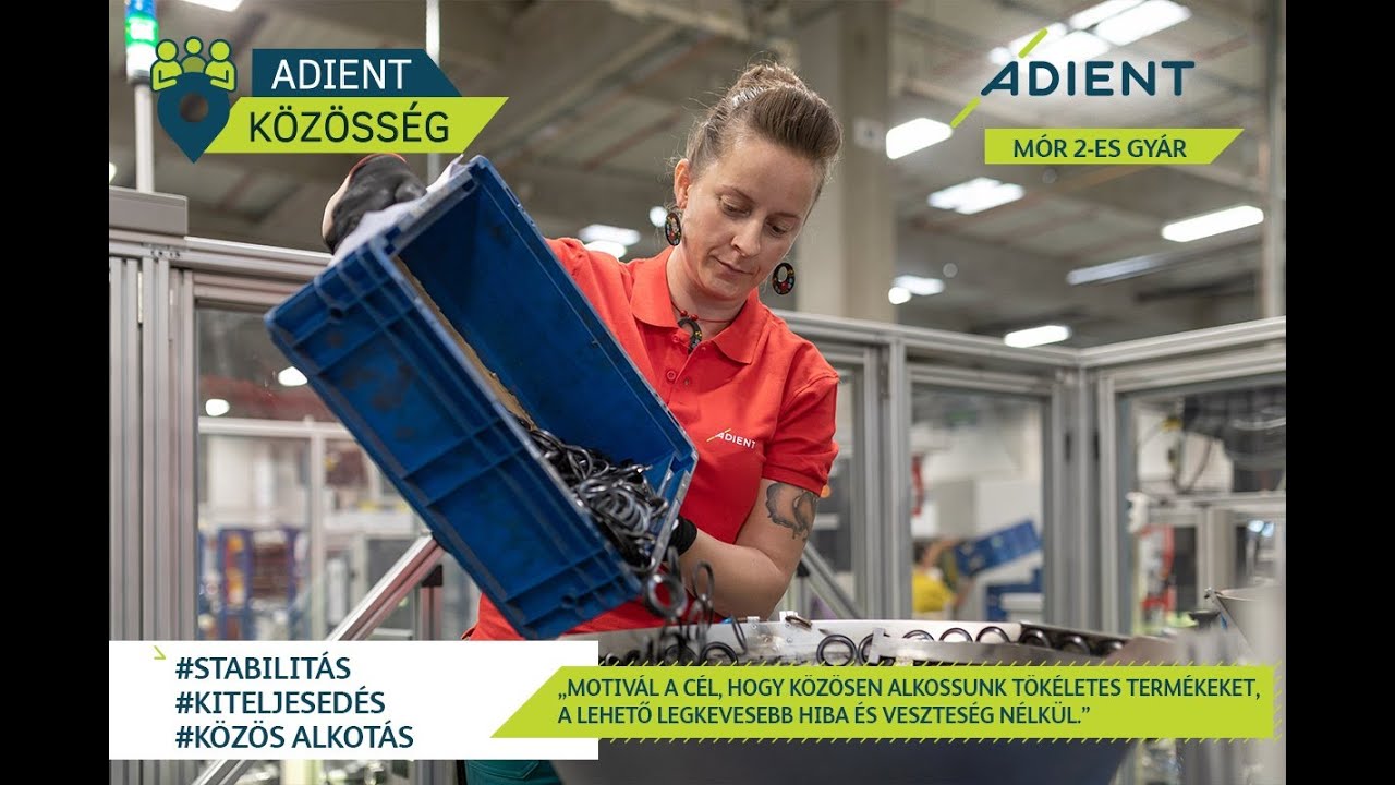 Adient Hungary Kft, Mór2, Gépbeállító
