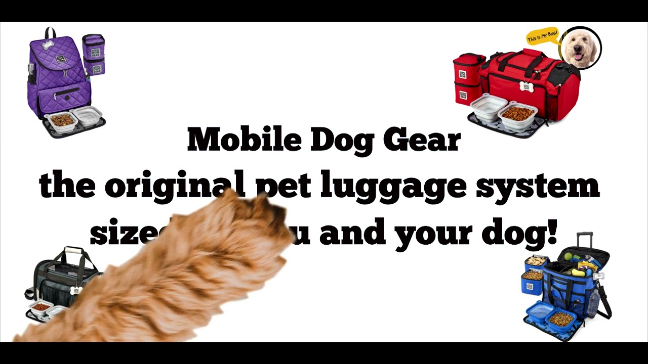Mobile Dog Gear Promo Video 3