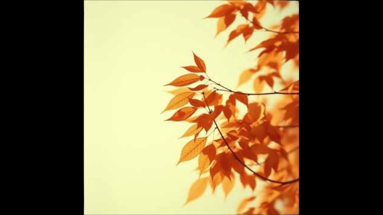 Leiser Abschied - emotional