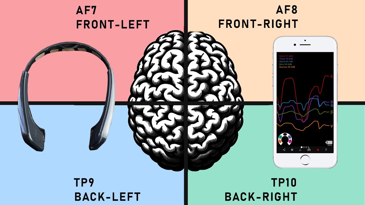 Exploring Brainwaves and Brain Quadrants with Muse Headband + Mind Monitor