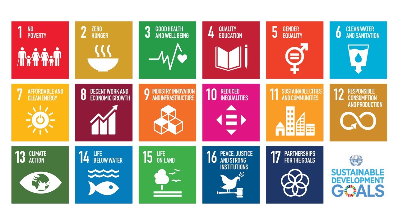 Borregaards bidrag til FNs 2030-Agenda