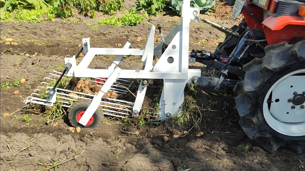 🚜Картоплекопалка в роботі. Такою копаю вперше в житті. 2024р  #BazOtto