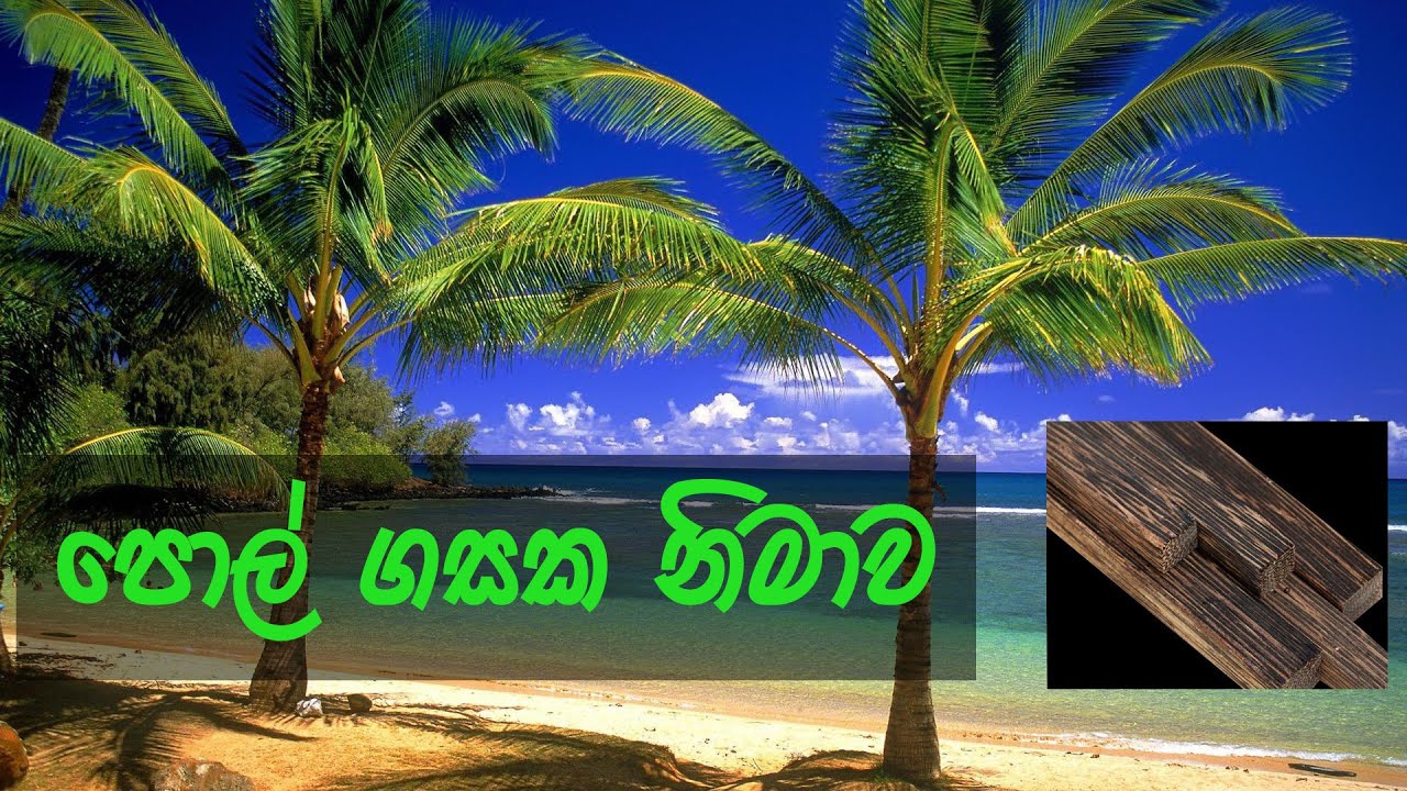 How to make coconut lumber |For furniture | Gami jeewitha