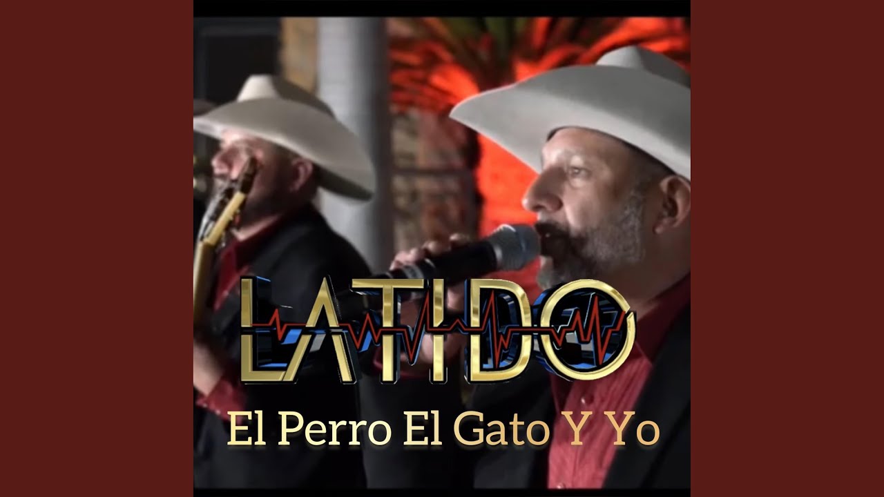 El Perro, El Gato y Yo