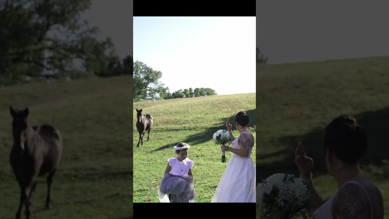 Michigan Wedding with horses