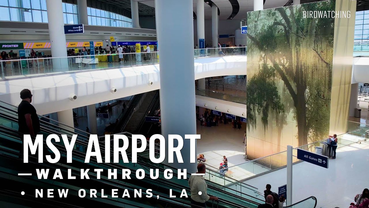 Walkthrough & Plane Spotting at MSY Louis Armstrong New Orleans International Airport
