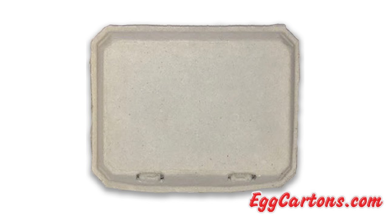 Vintage Paper Egg Carton Blank